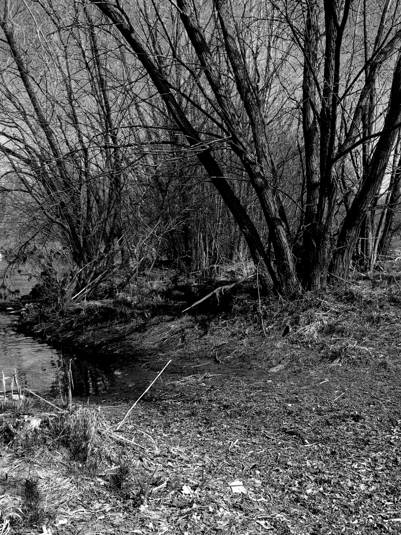 enzauenpark pforzheim