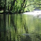 Enzbadestelle bei Birkenfeld ...