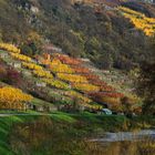 Enzbogen_Herbst_ 1511_3