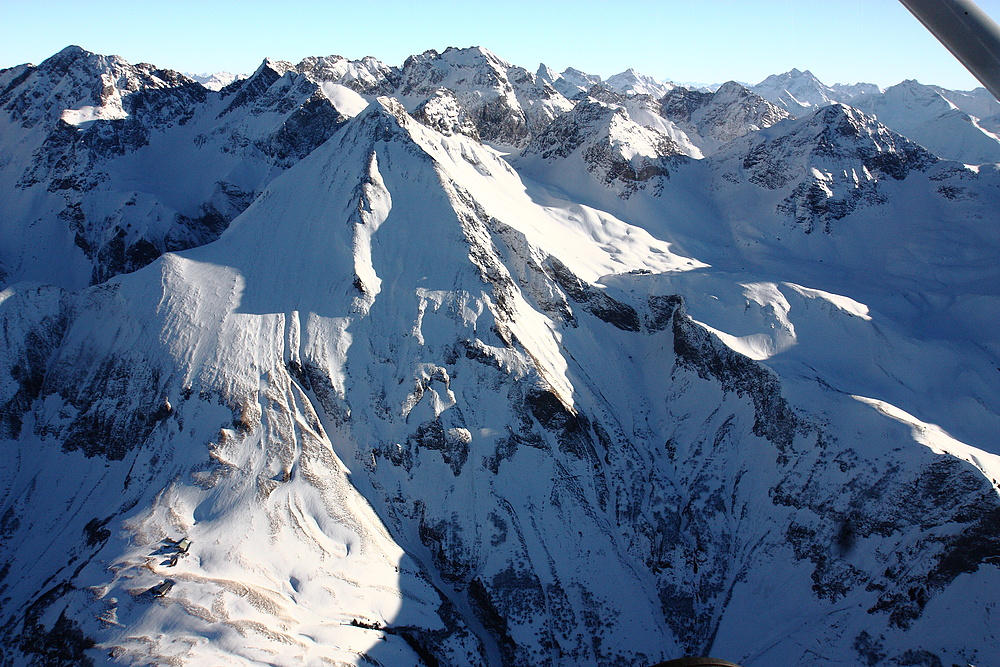 Enzian und Rappenseehütte