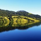 Enzianblau am Wägitalersee