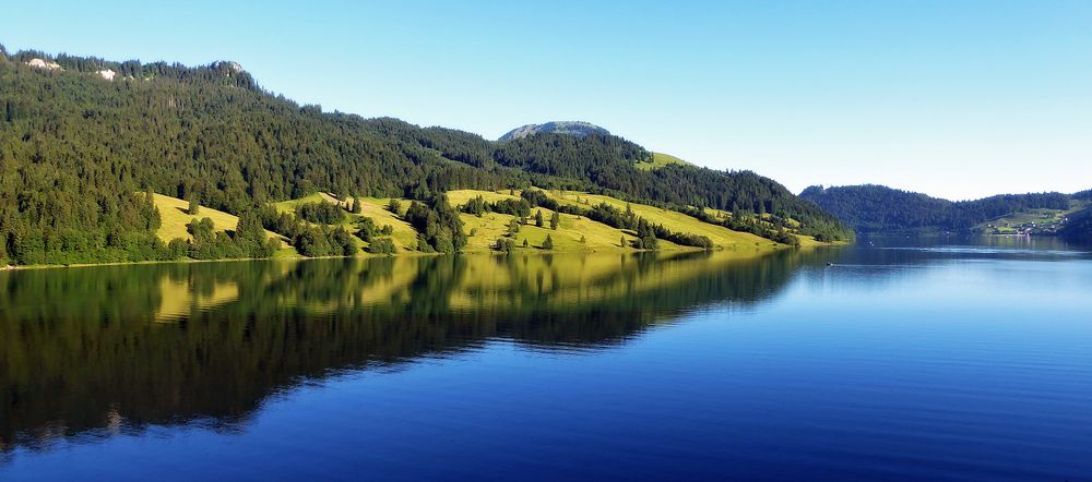 Enzianblau am Wägitalersee