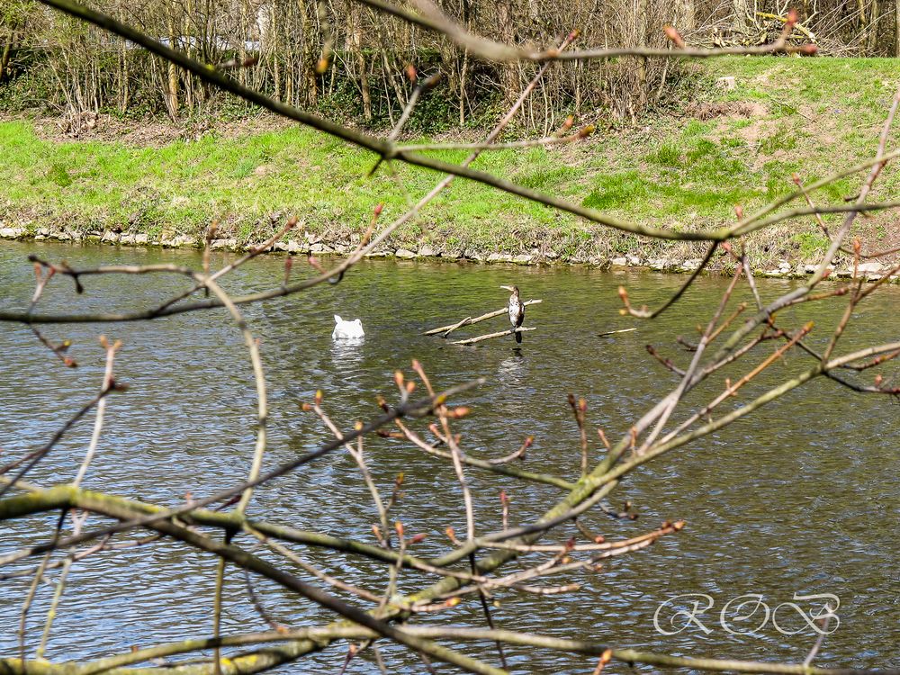 Enztal-Radweg-20180402-11821