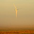 EOLIENNE AU PETIT MATIN