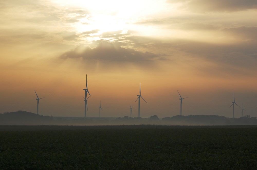 Eoliennes du matin