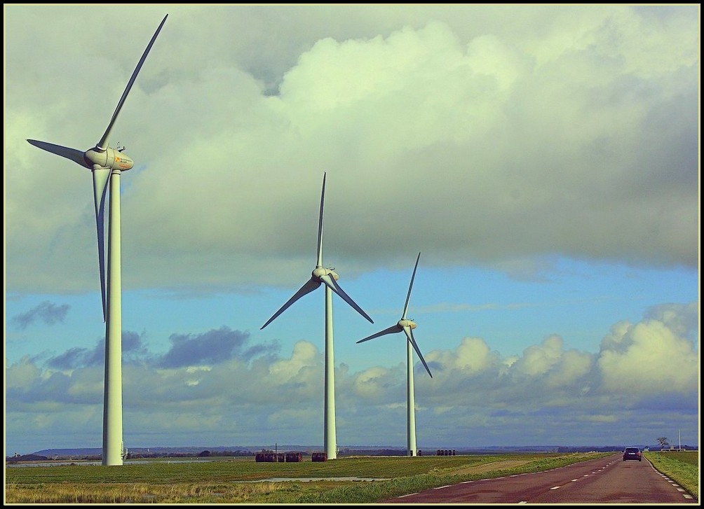 Eoliennes sur la côte