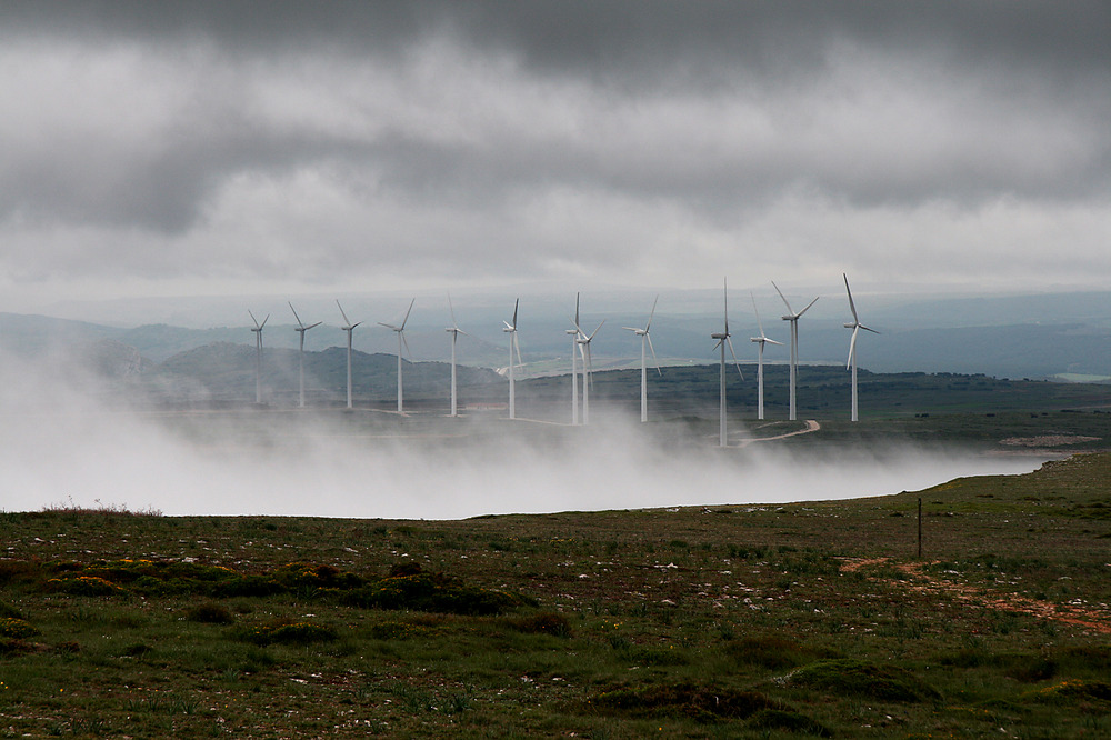 EOLIKOAK ETA LAINOA