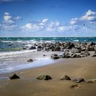 Eon kleines Paradies: Borkum! 