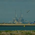 EON Kraftwerk / Europoort / Rotterdam.