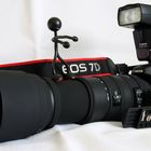 Eos 7D + Sigma 120-400mm OS + Canon Speedlite 430 Ex II