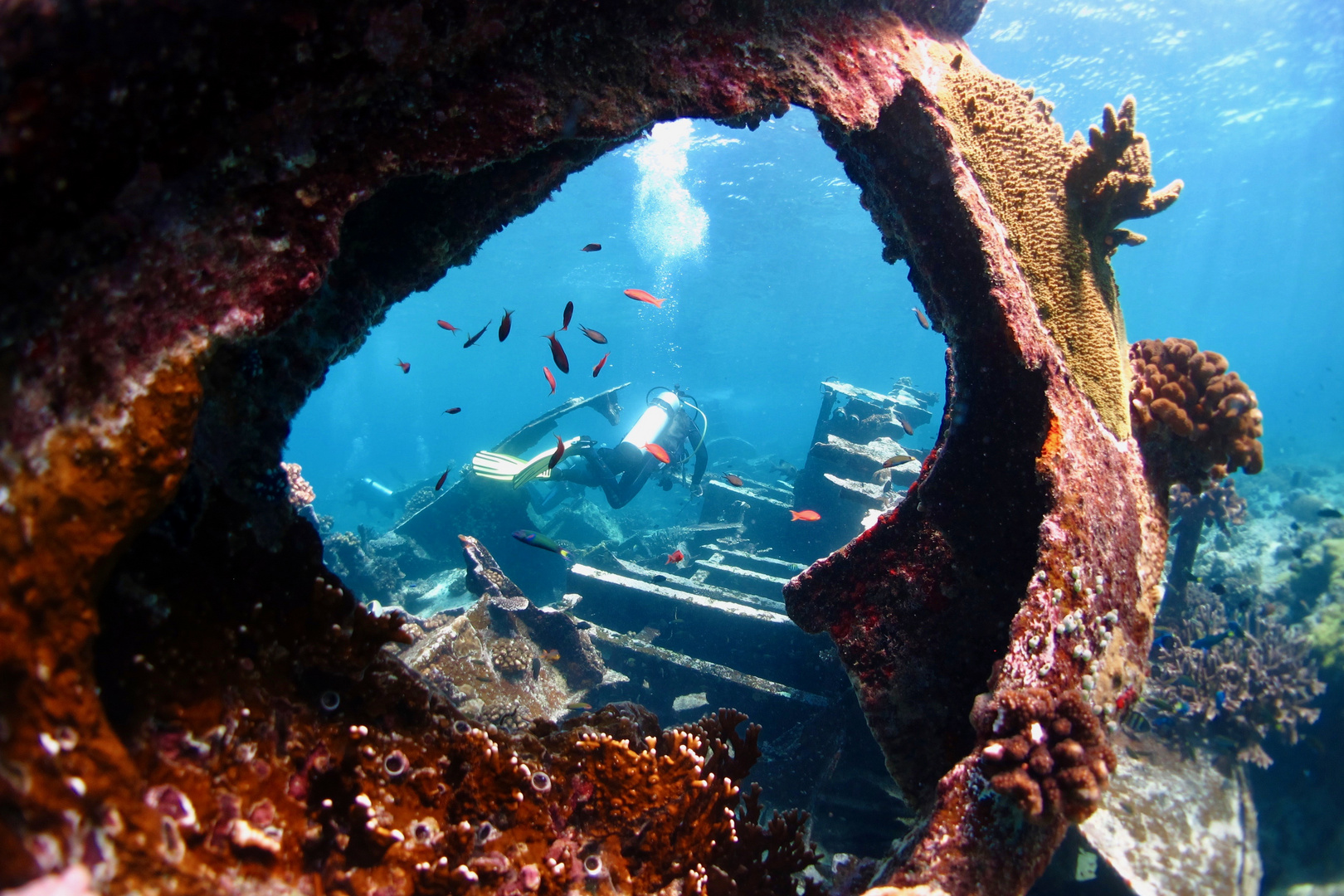 Epave ( Tubbataha reef)