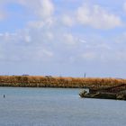 Epaves de bateau sur un canal à Noirmoutier