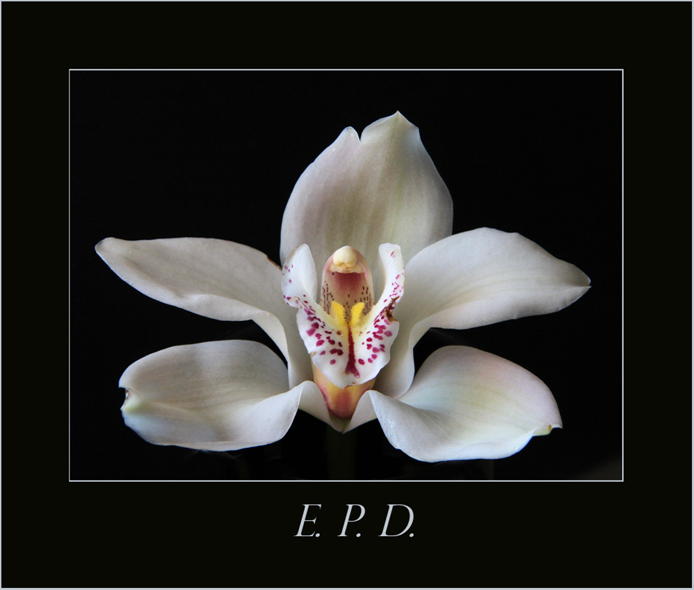 E.P.D.