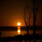 Epecuen 4