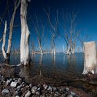 Epecuen 5