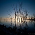 Epecuen 6 (Argentina)