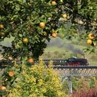 Epfenhofener Viadukt mal anders