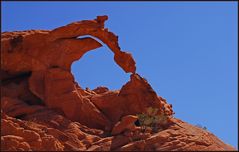 Ephemeral Arch