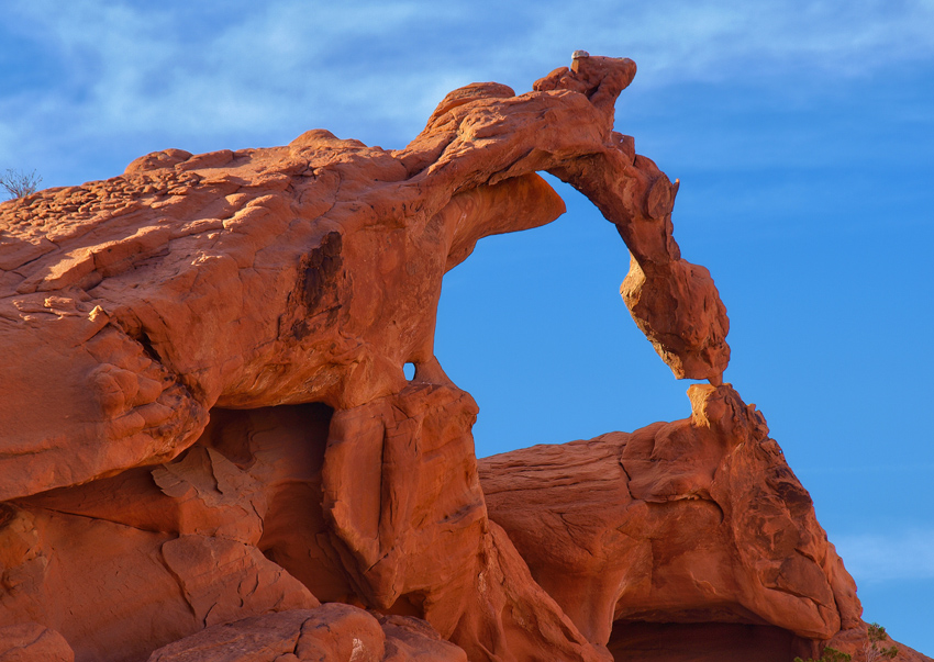 Ephemeral Arch