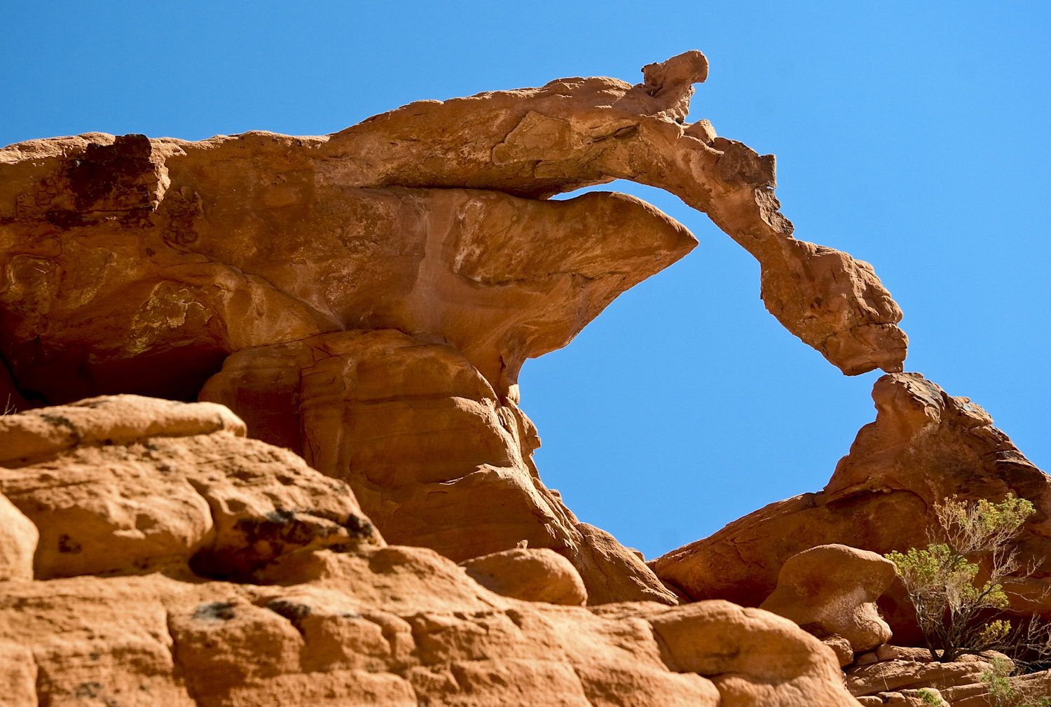 Ephemeral Arch