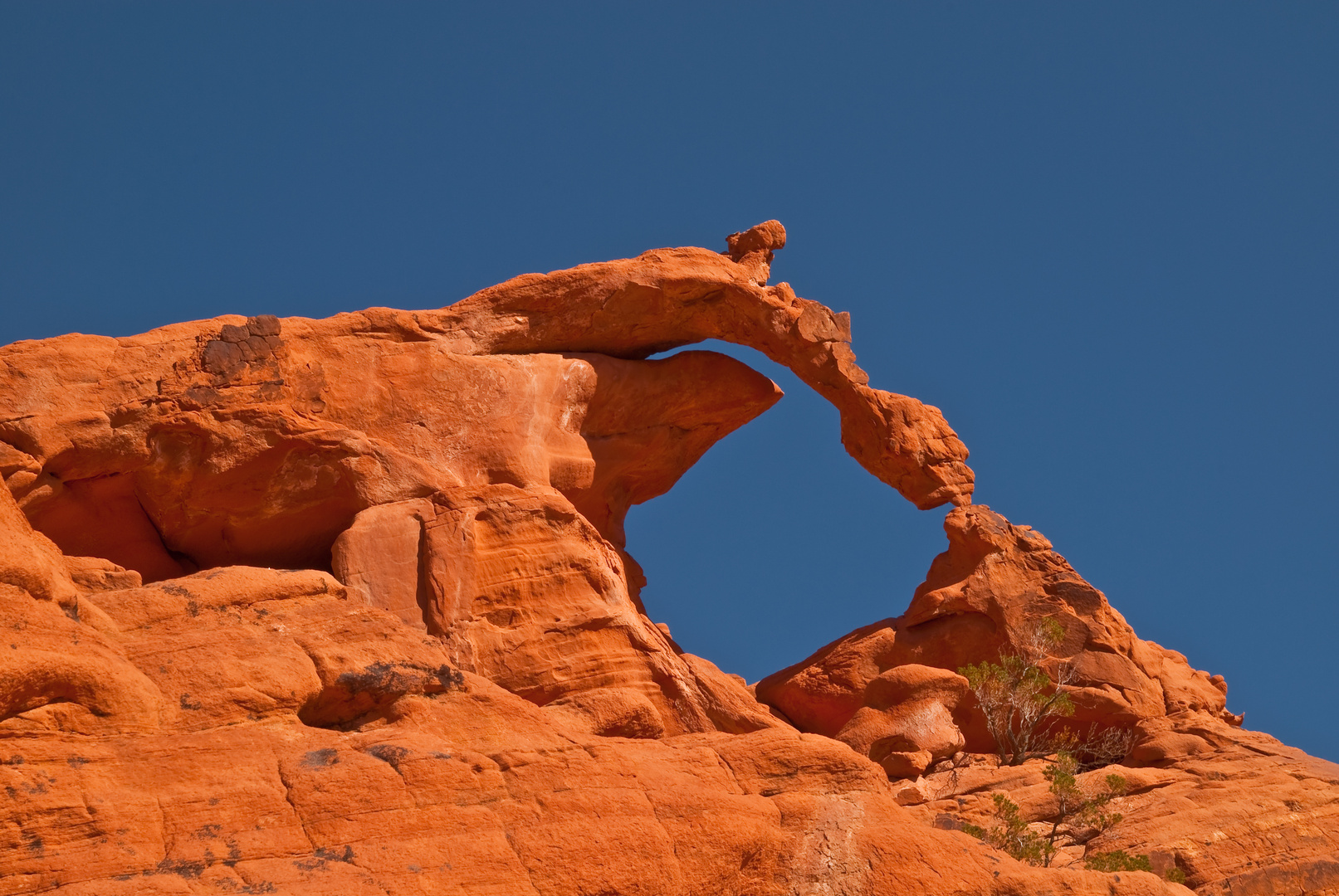 Ephemeral Arch