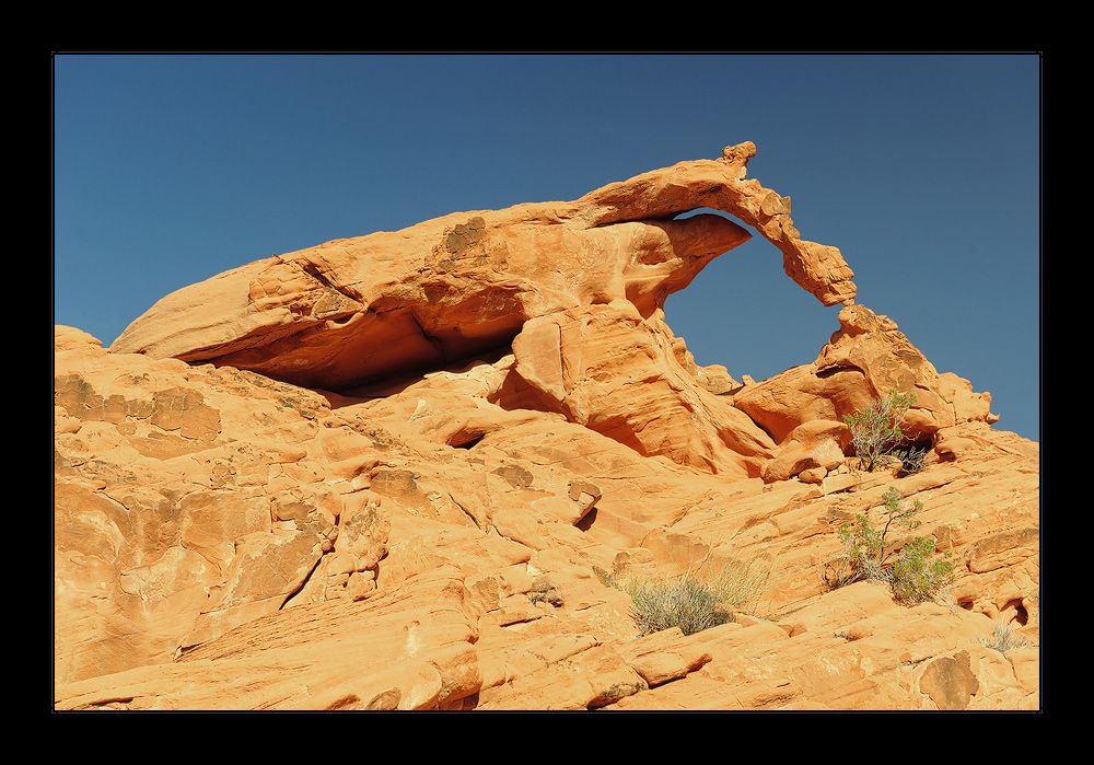 Ephemeral Arch