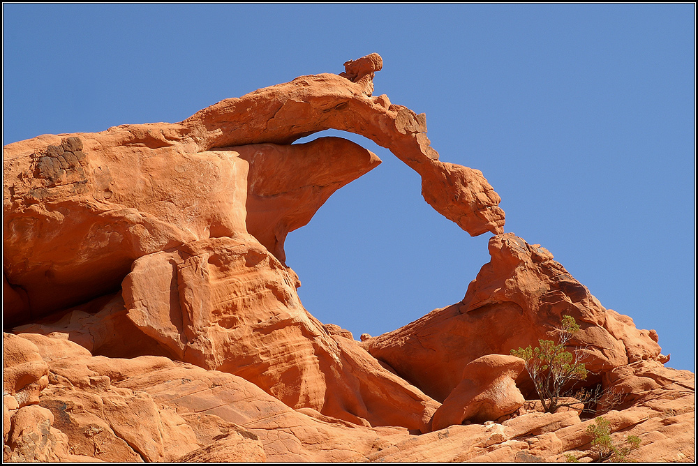 Ephemeral Arch