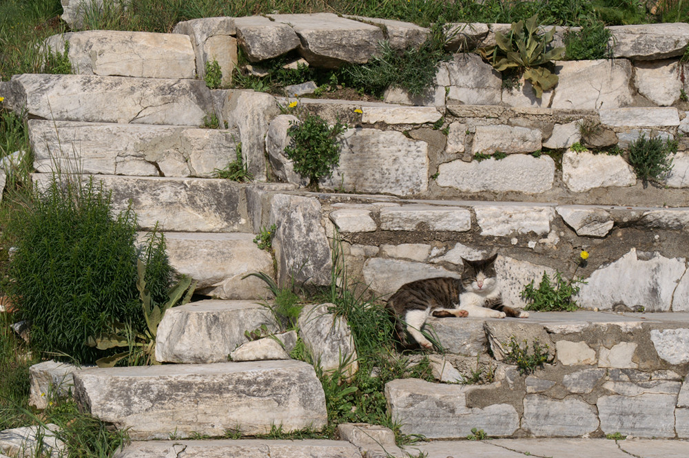 Ephesos' Bewohnerin