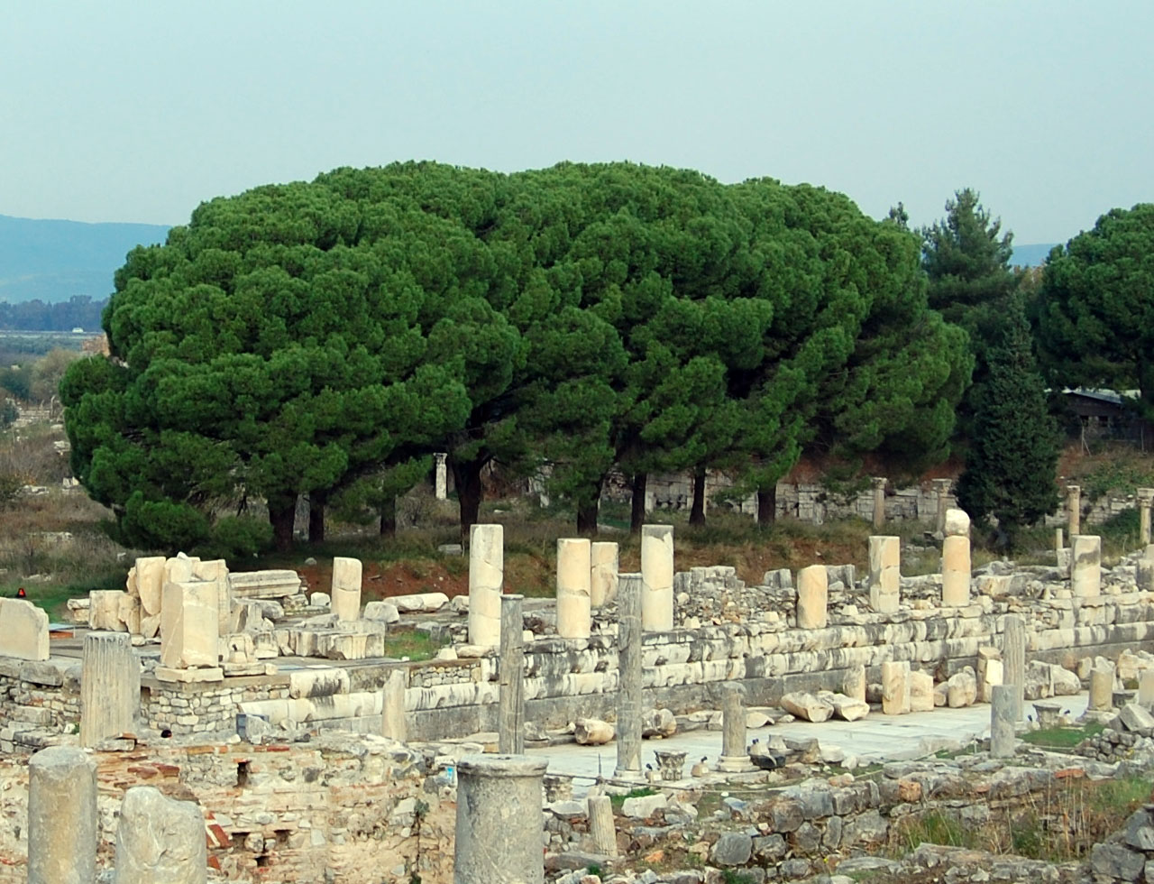 Ephesus - Westtürkei