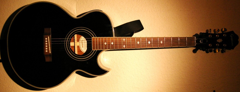 Epiphone pr 5e