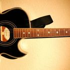 Epiphone pr 5e