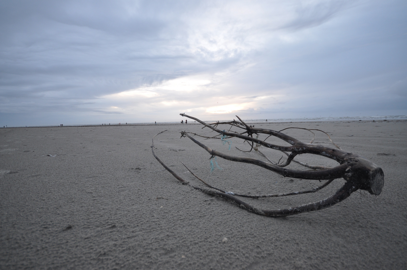 Episches Strandgut