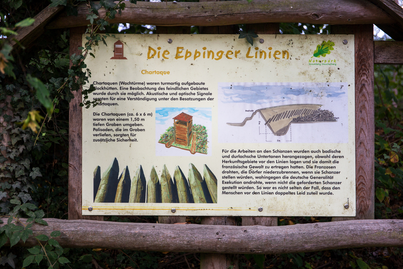 Eppinger Linien