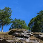 Epprechtstein im Fichtelgebirge