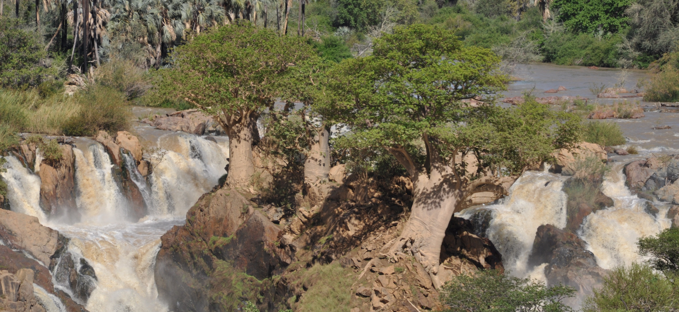 Epupa Falls mit Baobab