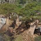 Epupa Falls mit Baobab