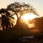 Epupafalls in der Morgensonne