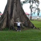 Equatorial Guinea Trees