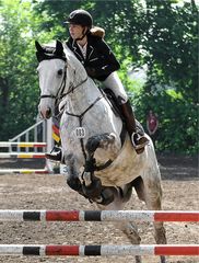 equidae