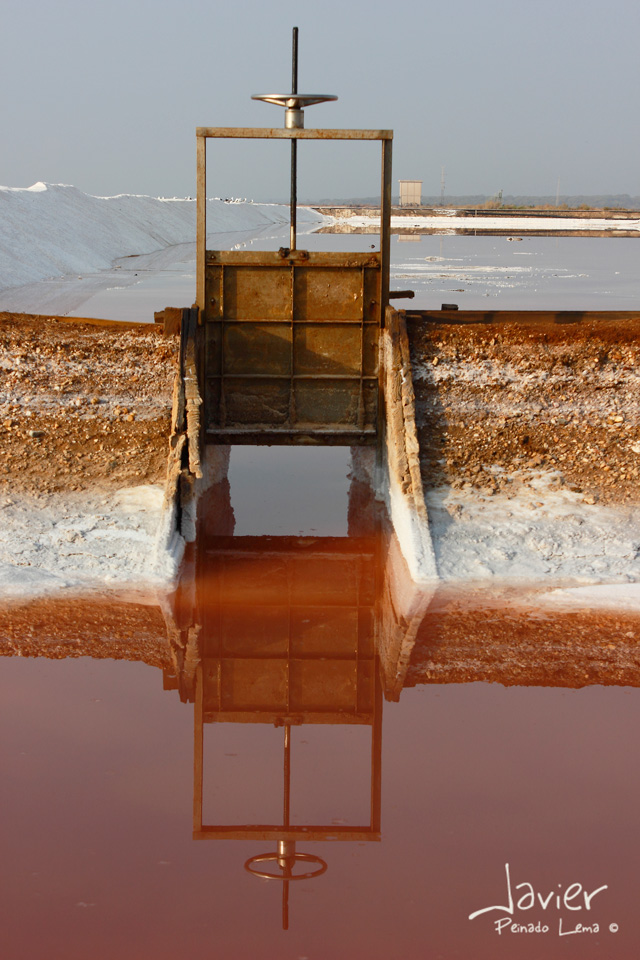 Equidistancia, reflejo en la salina