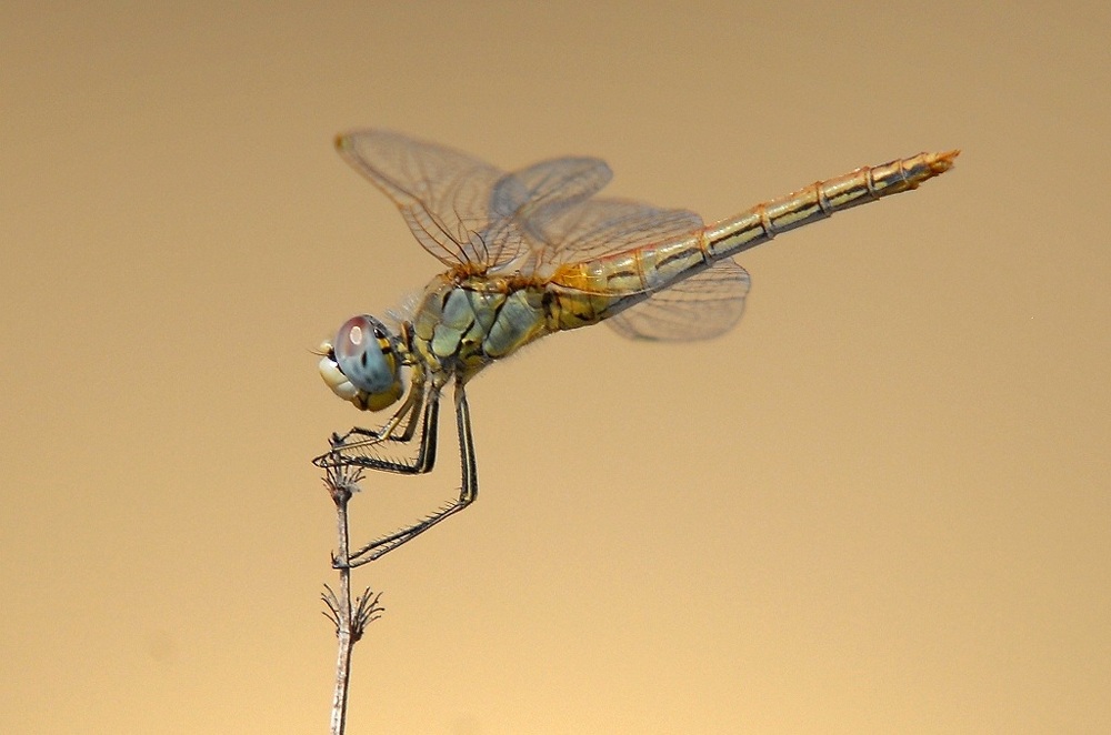 equilibrio esistenziale