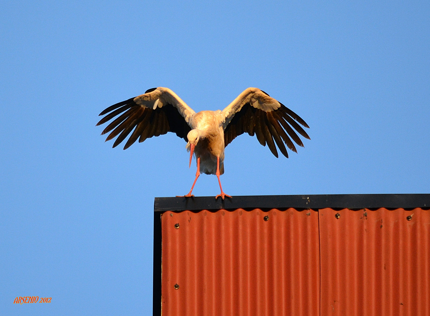 EQUILIBRIO TOTAL