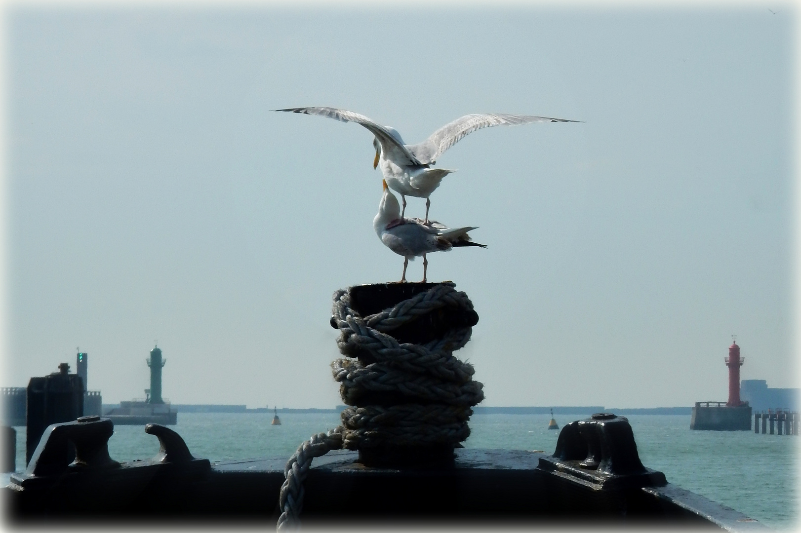 Equilibristes au port