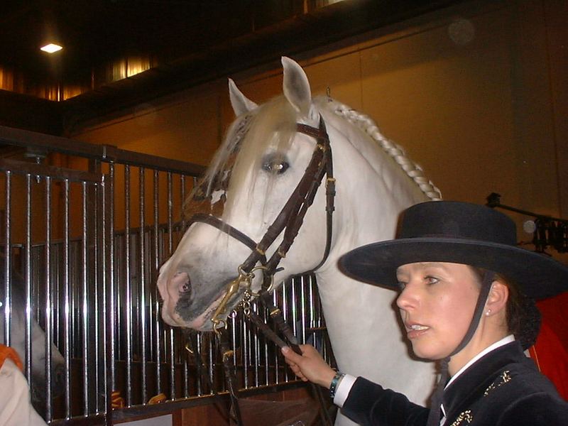 EQUITANA 2003