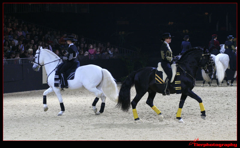 Equitana 2007/2