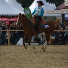 Equitana 2008/#03