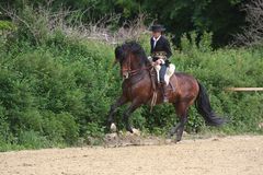 Equitana 2008/#04