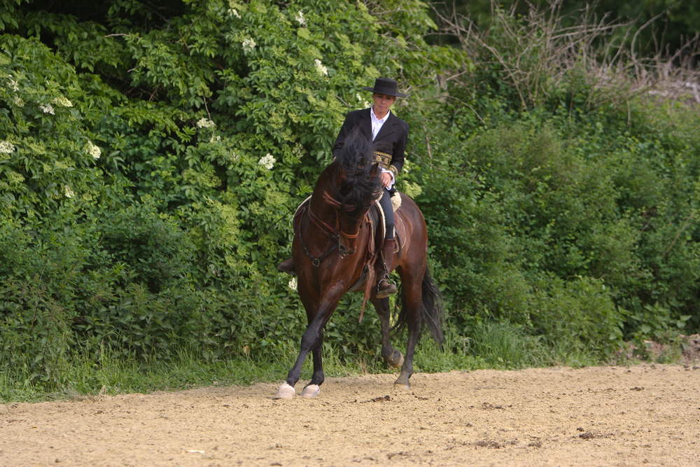 Equitana 2008/#09