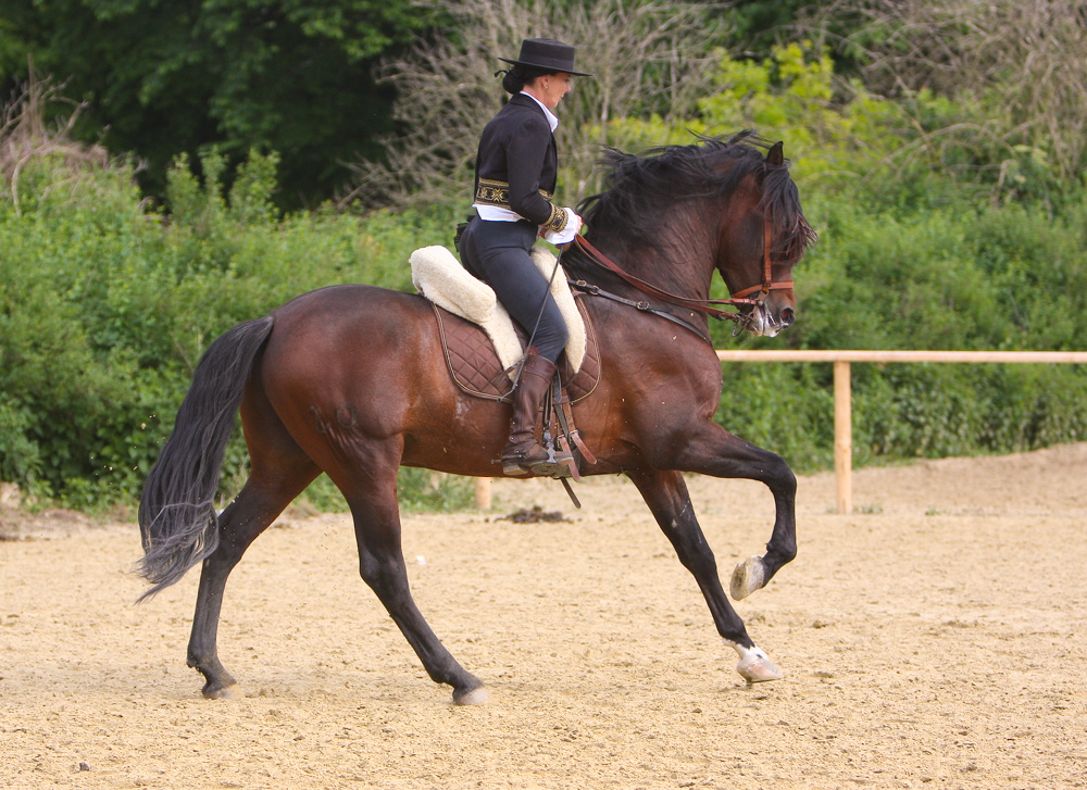 Equitana 2008/#12