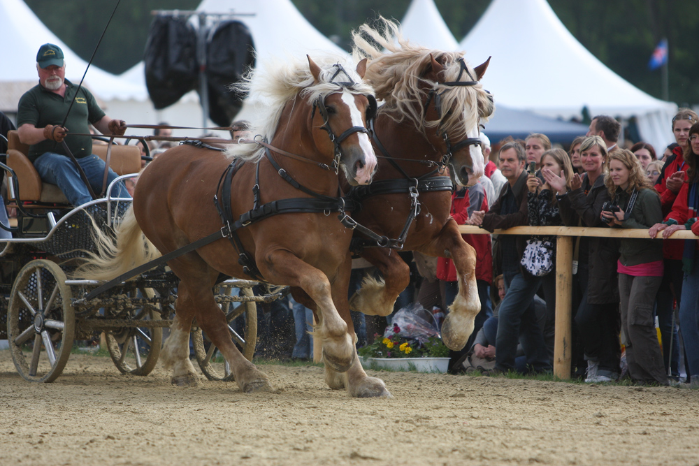 Equitana 2008/#18